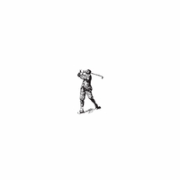h-493 golfer