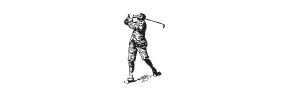 h-493 golfer
