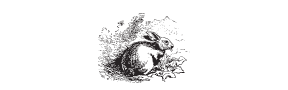h-499 hare