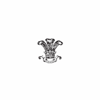 h-501 crown with feathers