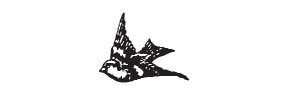 h-509 bird