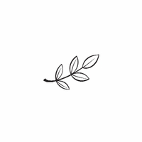 h-581 olive branch