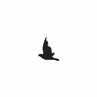 h-585 dove silhouette