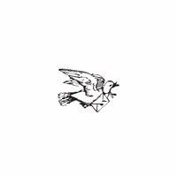 h-607 bird 2