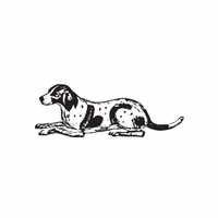 h-610 hound