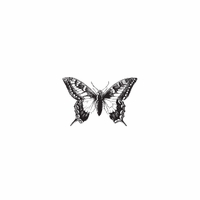 h-611 butterfly