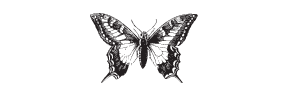 h-611 butterfly