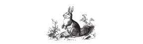 h-612 bunny