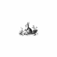 h-612 bunny