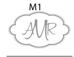haute papier monogram M1