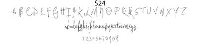 haute papier script S24