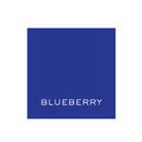 hautepapier letterpress color blueberry