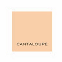 hautepapier letterpress color cantaloupe