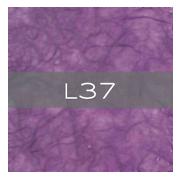 hautepapier liner L37