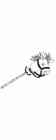 hobby horse