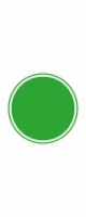 holiday green