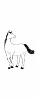 horse