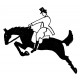 horse and rider