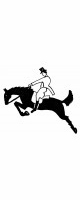 horse and rider