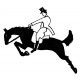 horse and rider