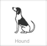 hound