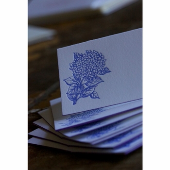 Hydrangea Gift Enclosures