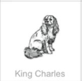 king charles