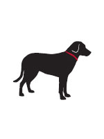 lab black