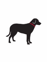 lab black