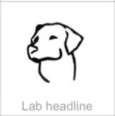 lab headline