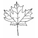 leaf