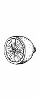 lemon