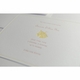 letterpress butterfly baby announcement - amanda