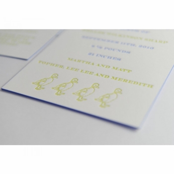 letterpress duck baby announcement - welles