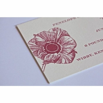 Letterpress Flower Baby Announcement - Poppy