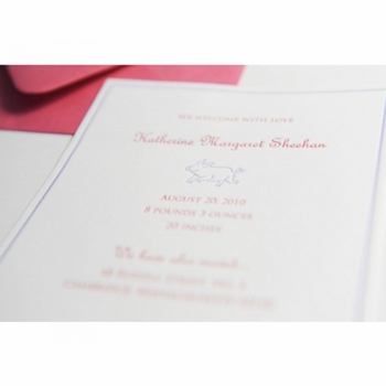 Letterpress Pig Baby Announcement - Margaret