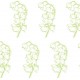 lily of the valley