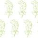 lily of the valley