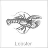 soundview millworks ocean lobster