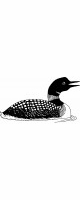 loon