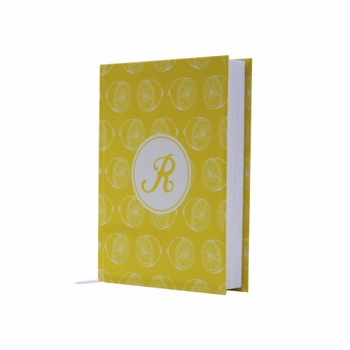 lyford lemonade children's journal