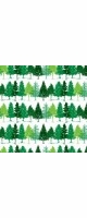 maine forest