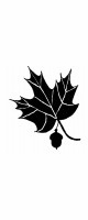 maple leaf