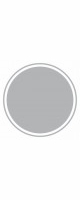 metallic silver