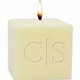 monogrammed palm wax candle - 4" palm wax