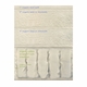 Naturepedic Concerto Organic Luxury Pillowtop Mattress
