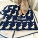 navy ducks baby blanket