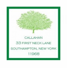 New Roots Sticker