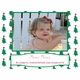O Christmas Tree Green Holiday Cards