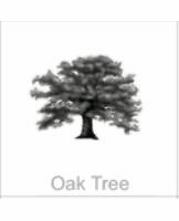 oak tree